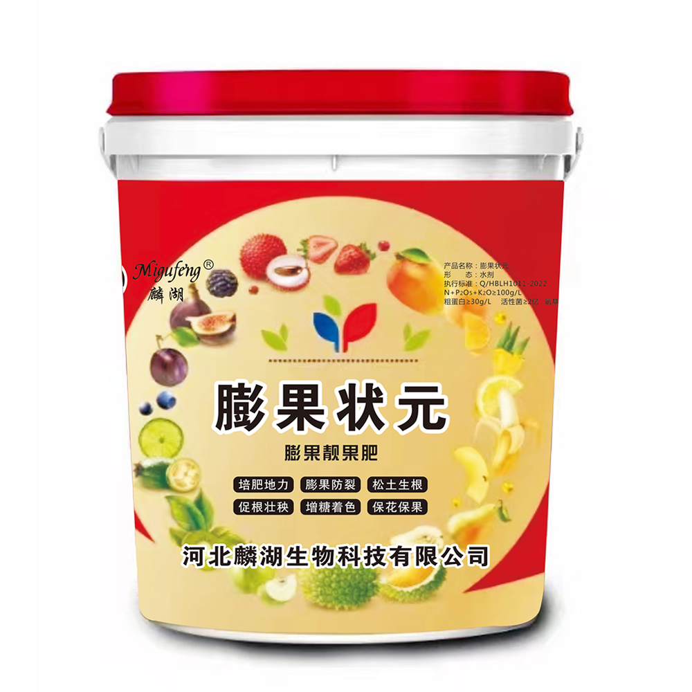 膨果状元 膨果靓果肥