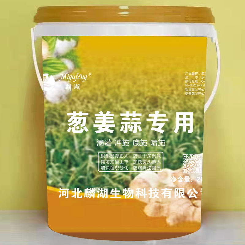 葱姜蒜专用