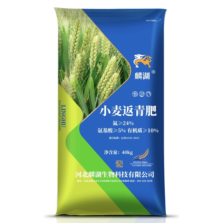 小麦返青肥